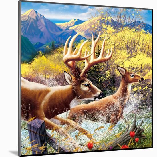 Big Buck HD Cabinet Art-John Youssi-Mounted Poster