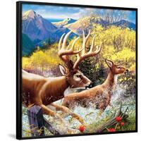 Big Buck HD Cabinet Art-John Youssi-Framed Poster