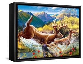 Big Buck HD Cabinet Art-John Youssi-Framed Stretched Canvas