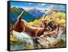 Big Buck HD Cabinet Art-John Youssi-Framed Stretched Canvas