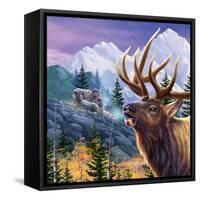 Big Buck Pro Open Season Cabinet Art-John Youssi-Framed Stretched Canvas