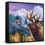 Big Buck Pro Open Season Cabinet Art-John Youssi-Framed Stretched Canvas