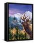 Big Buck Pro Open Season Cabinet Art-John Youssi-Framed Stretched Canvas