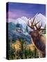 Big Buck Pro Open Season Cabinet Art-John Youssi-Stretched Canvas