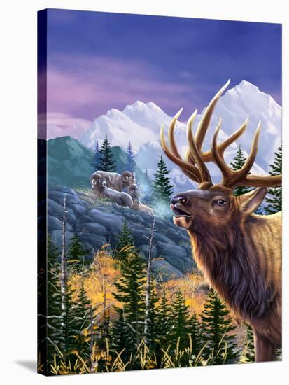 Big Buck Pro Open Season Cabinet Art-John Youssi-Stretched Canvas