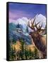 Big Buck Pro Open Season Cabinet Art-John Youssi-Framed Stretched Canvas