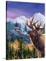 Big Buck Pro Open Season Cabinet Art-John Youssi-Stretched Canvas