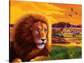 Big Buck Safari Cabinet Art-John Youssi-Stretched Canvas