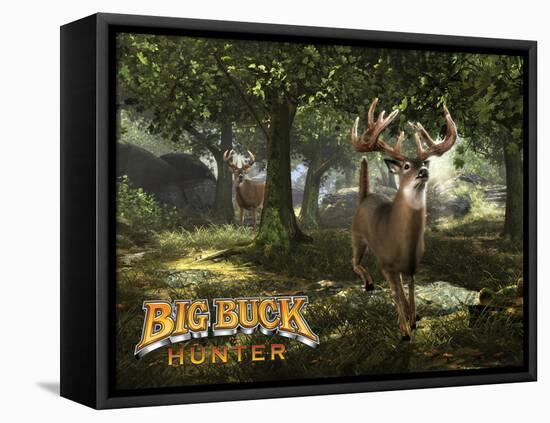 Big Buck Whitetail Deer with Logo-Mike Colesworthy-Framed Stretched Canvas