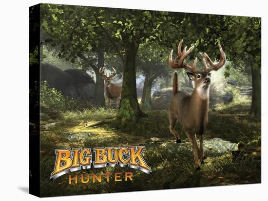 Big Buck Whitetail Deer with Logo-Mike Colesworthy-Stretched Canvas