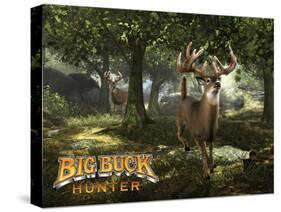 Big Buck Whitetail Deer with Logo-Mike Colesworthy-Stretched Canvas