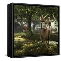Big Buck Whitetail Deer-Mike Colesworthy-Framed Stretched Canvas