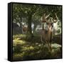 Big Buck Whitetail Deer-Mike Colesworthy-Framed Stretched Canvas