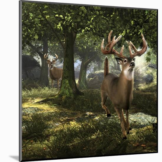 Big Buck Whitetail Deer-Mike Colesworthy-Mounted Poster