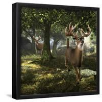 Big Buck Whitetail Deer-Mike Colesworthy-Framed Poster