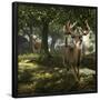 Big Buck Whitetail Deer-Mike Colesworthy-Framed Poster