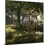 Big Buck Whitetail Deer-Mike Colesworthy-Mounted Poster