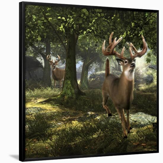 Big Buck Whitetail Deer-Mike Colesworthy-Framed Poster