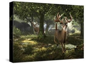 Big Buck Whitetail Deer-Mike Colesworthy-Stretched Canvas