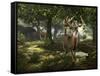 Big Buck Whitetail Deer-Mike Colesworthy-Framed Stretched Canvas