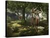 Big Buck Whitetail Deer-Mike Colesworthy-Stretched Canvas