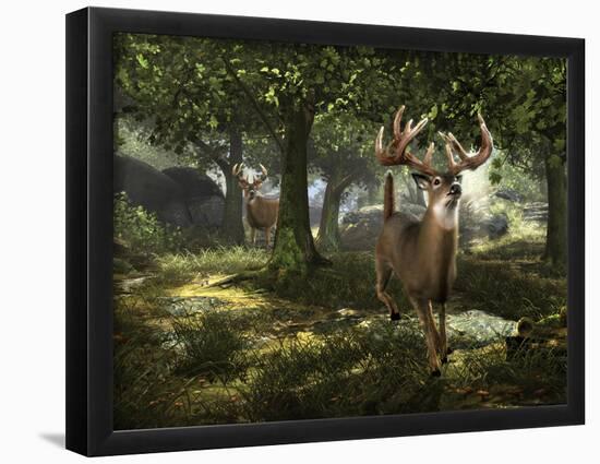 Big Buck Whitetail Deer-Mike Colesworthy-Framed Poster