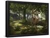 Big Buck Whitetail Deer-Mike Colesworthy-Framed Poster