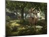 Big Buck Whitetail Deer-Mike Colesworthy-Mounted Poster