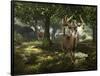 Big Buck Whitetail Deer-Mike Colesworthy-Framed Poster