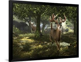 Big Buck Whitetail Deer-Mike Colesworthy-Framed Poster