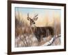 Big Buck-Rusty Frentner-Framed Giclee Print