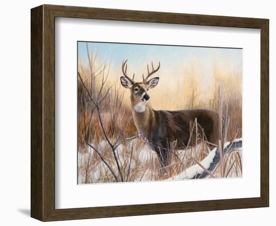 Big Buck-Rusty Frentner-Framed Giclee Print