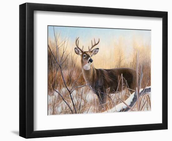 Big Buck-Rusty Frentner-Framed Giclee Print