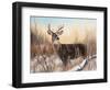 Big Buck-Rusty Frentner-Framed Giclee Print