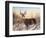 Big Buck-Rusty Frentner-Framed Giclee Print