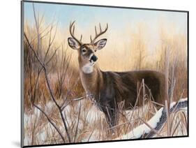 Big Buck-Rusty Frentner-Mounted Giclee Print