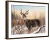 Big Buck-Rusty Frentner-Framed Giclee Print