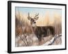 Big Buck-Rusty Frentner-Framed Giclee Print