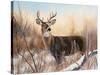 Big Buck-Rusty Frentner-Stretched Canvas