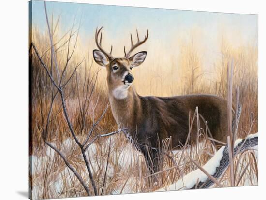 Big Buck-Rusty Frentner-Stretched Canvas