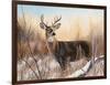 Big Buck-Rusty Frentner-Framed Giclee Print