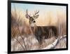 Big Buck-Rusty Frentner-Framed Giclee Print