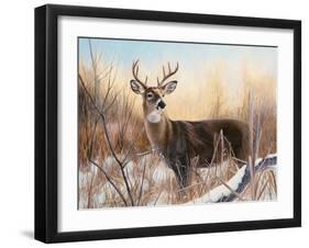 Big Buck-Rusty Frentner-Framed Giclee Print