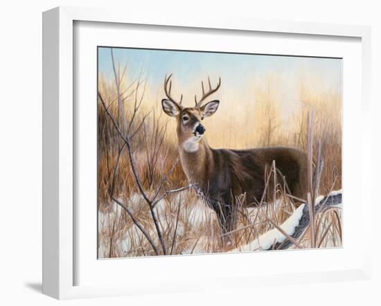 Big Buck-Rusty Frentner-Framed Giclee Print