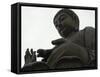 Big Buddha Statue, Po Lin Monastery, Lantau Island, Hong Kong, China-Amanda Hall-Framed Stretched Canvas