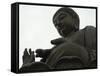 Big Buddha Statue, Po Lin Monastery, Lantau Island, Hong Kong, China-Amanda Hall-Framed Stretched Canvas