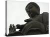 Big Buddha Statue, Po Lin Monastery, Lantau Island, Hong Kong, China-Amanda Hall-Stretched Canvas