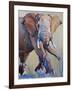 Big Bull, Suiyan-Mark Adlington-Framed Giclee Print