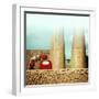 big calm-null-Framed Photographic Print