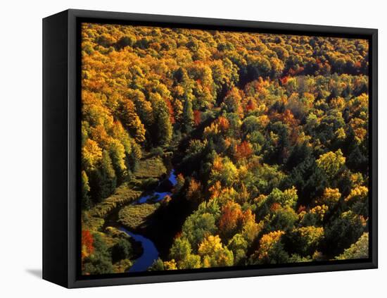 Big Carp River at Porcupine State Park, Up Michigan, USA-Chuck Haney-Framed Stretched Canvas